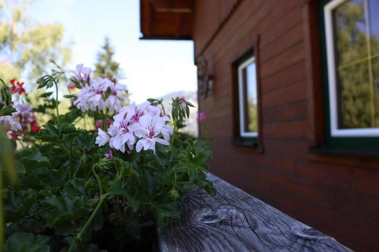 Ferienhaus Am Muehlbach Gams bei Hieflau Екстер'єр фото